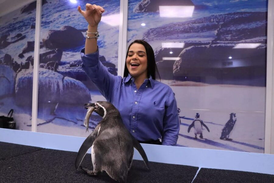 Gran Acuario Mazatlan - Exhibits and Experiences