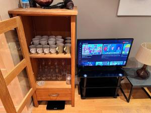 Great River Thames View Entire Apartment in The Most Central London - Property Overview