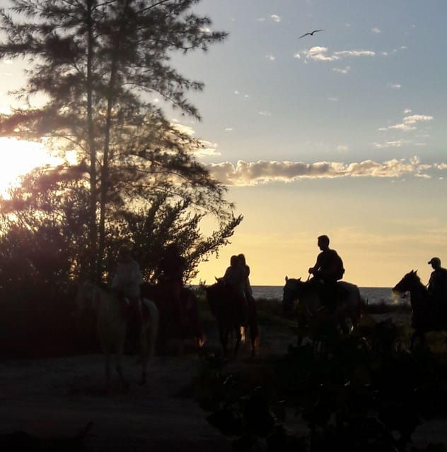 Group Tour of Holbox Island, Quintana Roo - Tour Overview