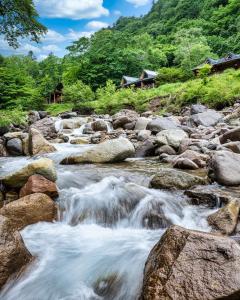 Hacho No Yu - Overview and Location