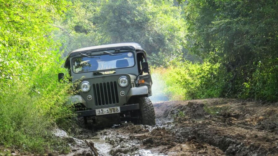 Hikkaduwa: Yala National Park Safari With Hotel Pickup