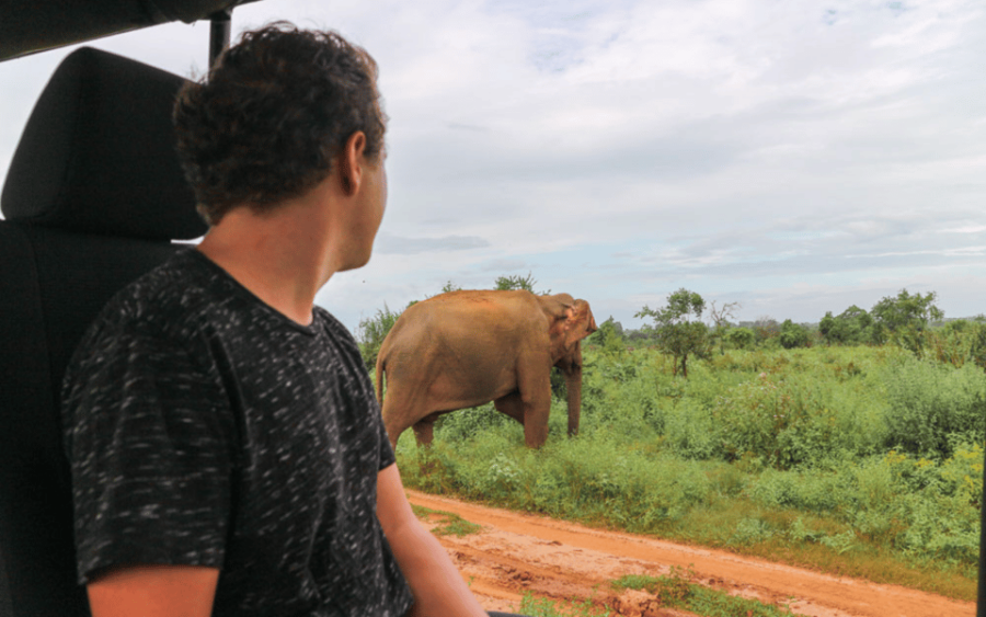 Hiriketiya: Udawalawe & YALA Safaris + Lunch, Drop Off: Ella
