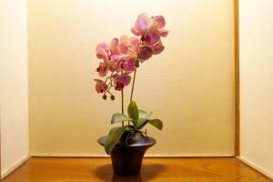 Hokkawa Onsen Hotel - Accommodation Options