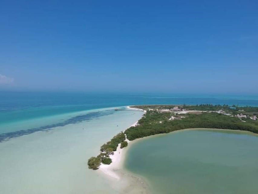 Holbox Island: Day Trip With Kayak Tour - Overview of the Day Trip