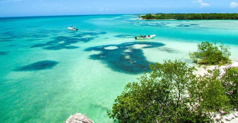 Holbox Island Day Trip With Lunch and Drinks - Trip Overview