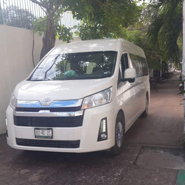 Holbox: Private Tour With Transfers