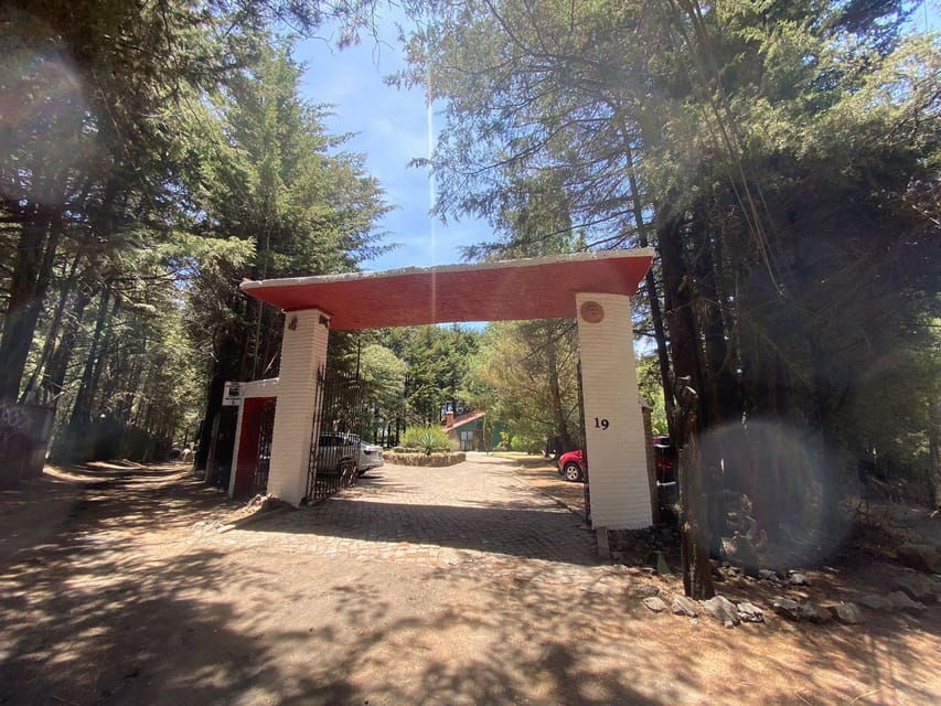 Horseback in the Mountains & Food in Our Ranch