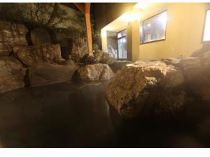 Hotel Kinu - Hotel Overview
