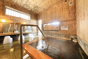 Hotel Pony Onsen - Hotel Overview
