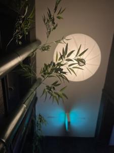 Hotel粋 - Location and Nearby Attractions