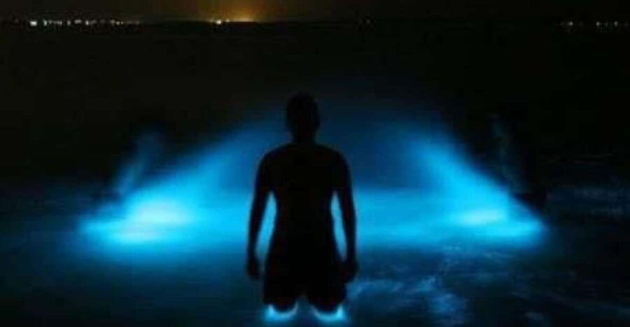 Huatulco: Bio and Liberation Tour