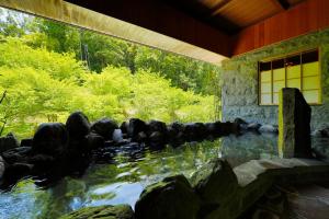 Ikyu Ryokan Review: A Tranquil Stay in Japan - Overview and Location