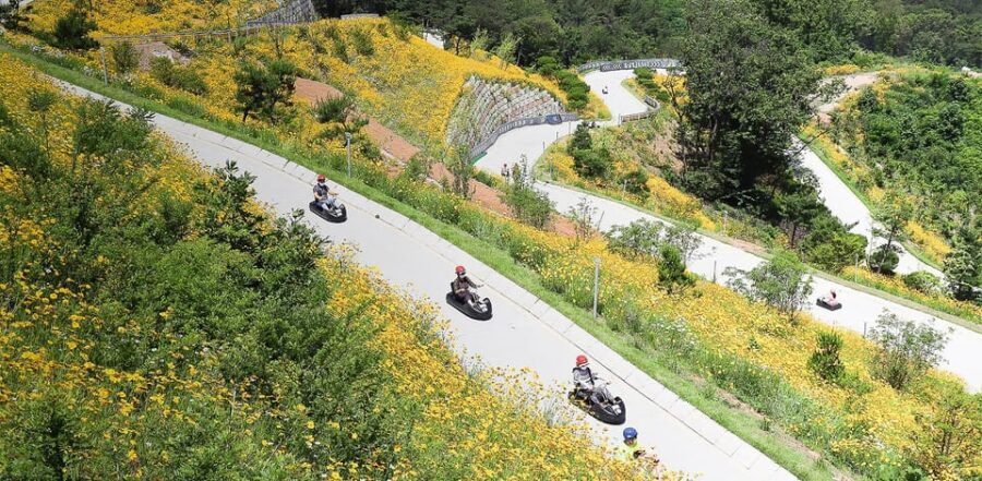 Incheon Private Tour| Luge/Jo Yang Bangjik Cafe/Jeondeungsa