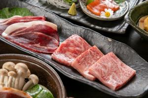 Isamikan - Overview of Isamikan