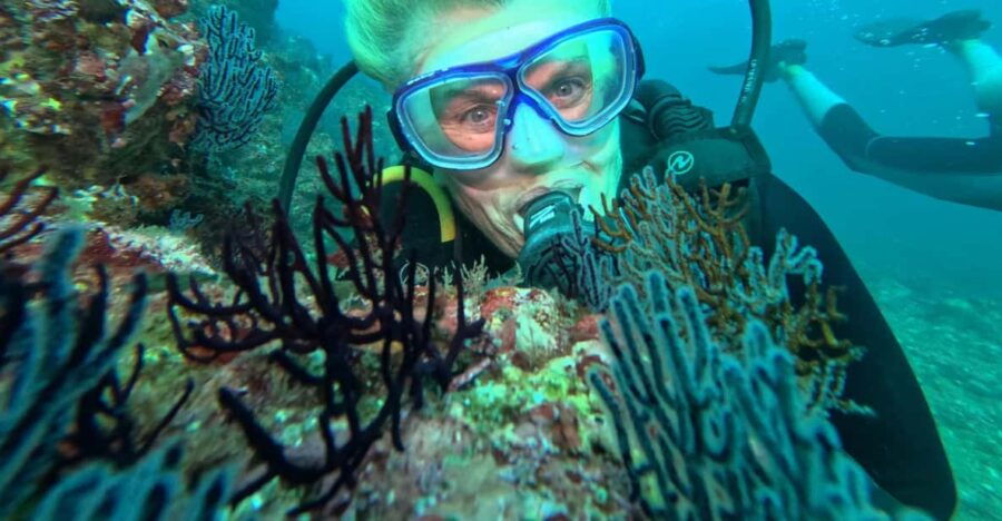 Ixtapa: Discover Diver Course