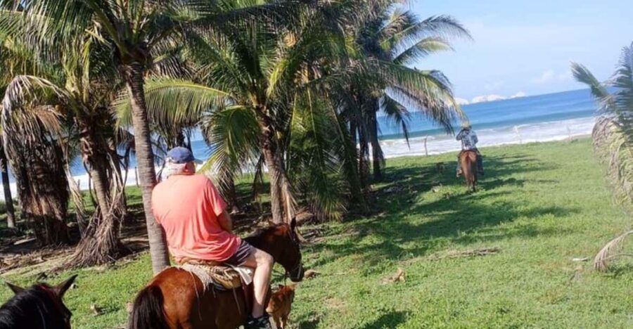 Ixtapa: Horse Adventure in Zihuatanejo