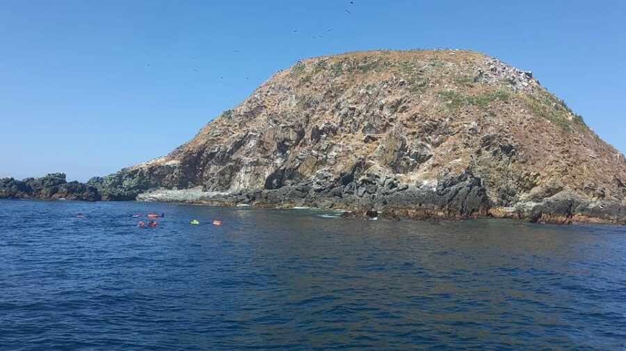 Ixtapa: Marine Life Exploration