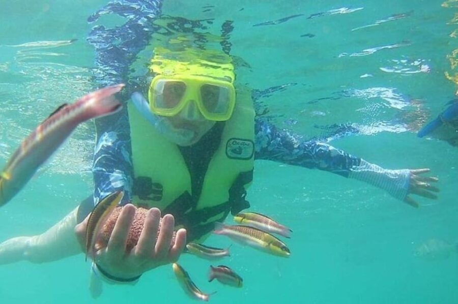 2 Best Snorkeling Experiences In Ixtapa