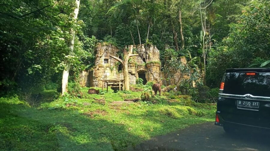 Jakarta Private Tour Safari Park, Tea Plants & Waterfall