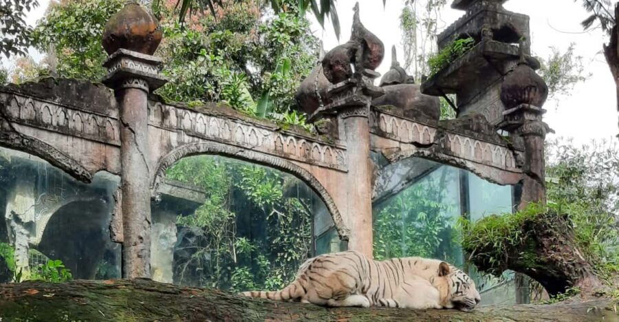 Jakarta: Safari Park, Panda Palace, and Waterfall