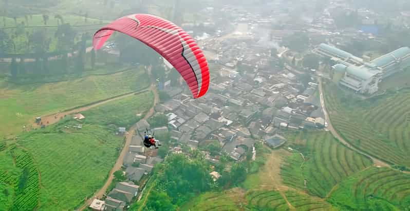 Jakarta Tour: Paragliding Top Mountain & Tea Plantation - Itinerary Overview