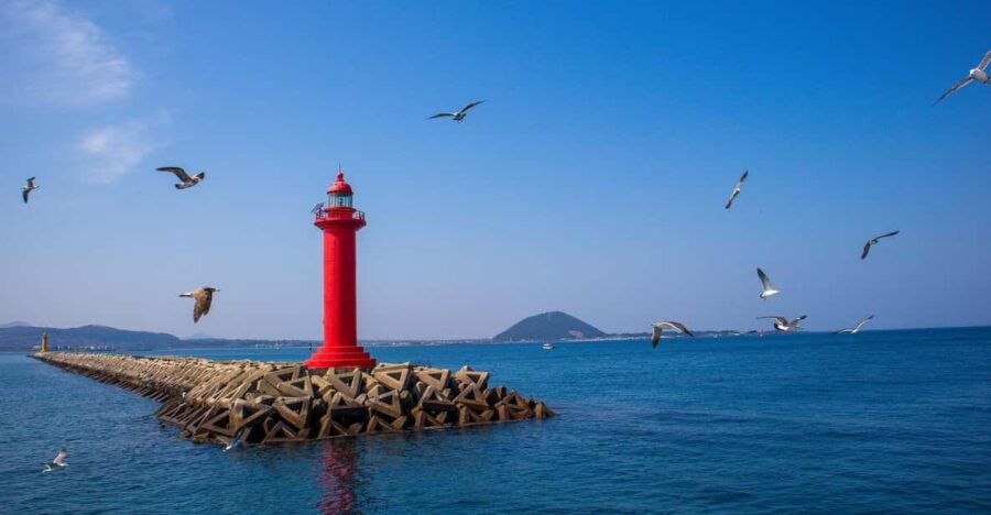 Jeju UNESCO Attractions Full-Day Tour With Daily Chauffeur - Tour Overview and Pricing