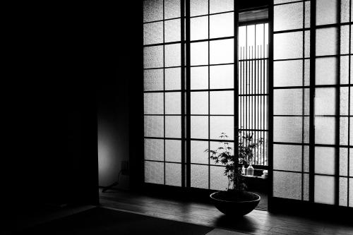 Kamogawa Review