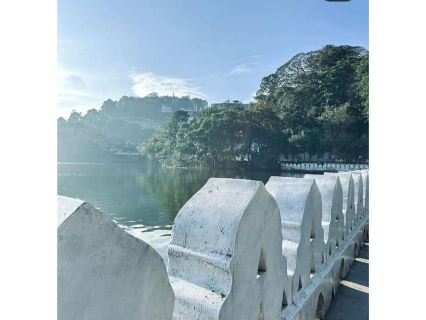 Kandy: Pinnawala Day Tour By Local Budget Taxi (Local Guide) - Tour Overview