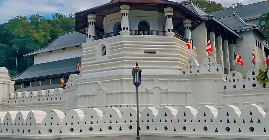 Kandy & Pinnawala Elephant Orphanage Day Tour From Colombo