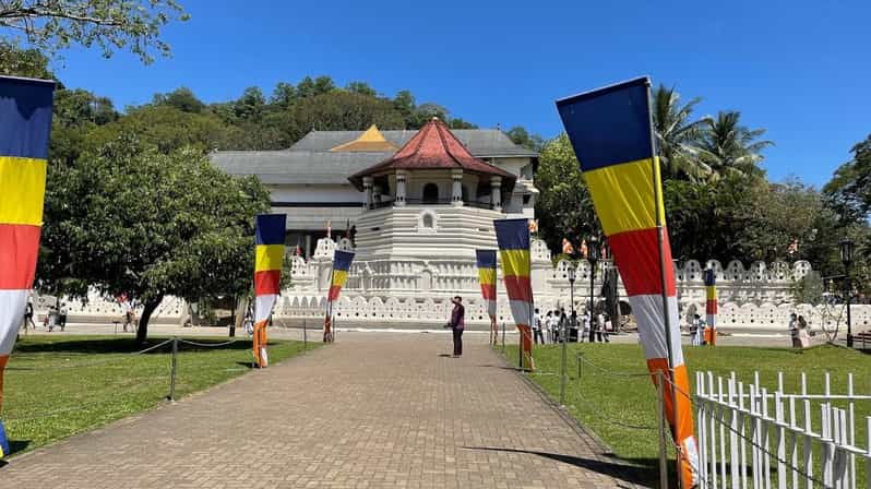 Kandy, Pinnawala & Tea Factory Full Day Tour From Colombo