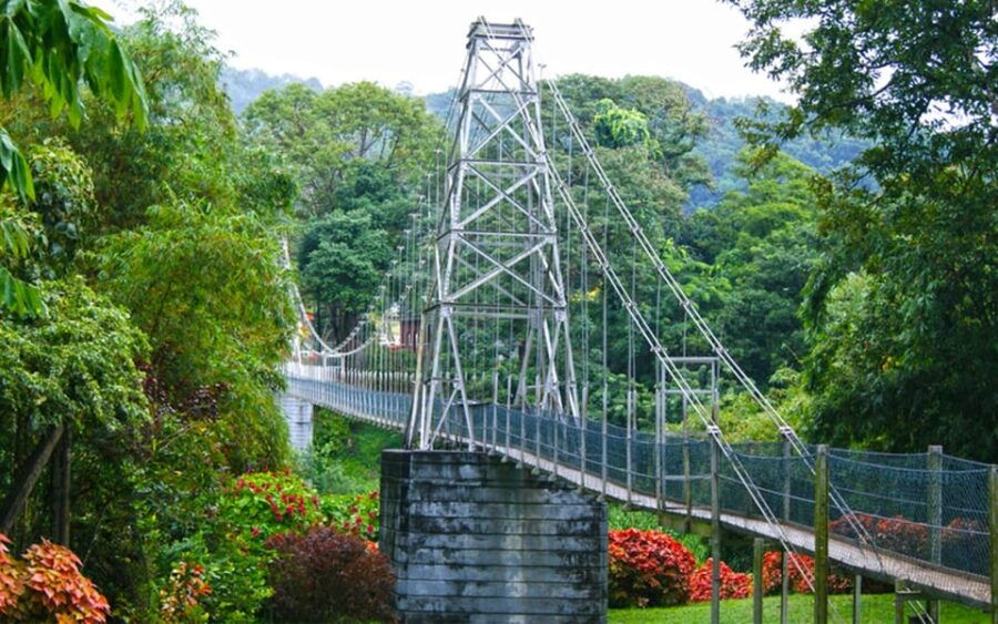 Kandy Private Day Trip: From Colombo