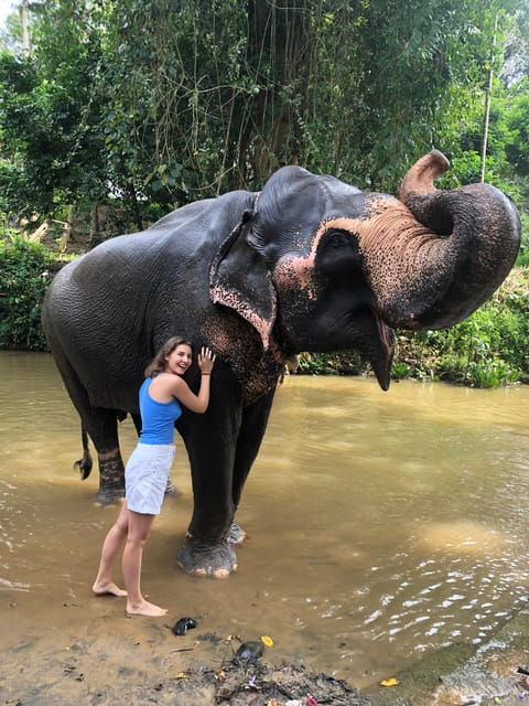 Kandy Privet Day Tour With Pinnawala and Tea Plantation