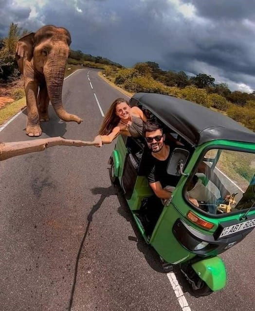Kandy to Nuwaraeliya Day Tour By Tuk Tuk - Tour Overview and Pricing