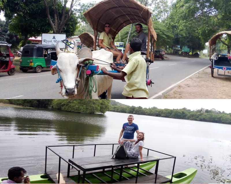 Kandy to Sigiriya & Dambulla Private Day Tour - Tour Overview and Pricing