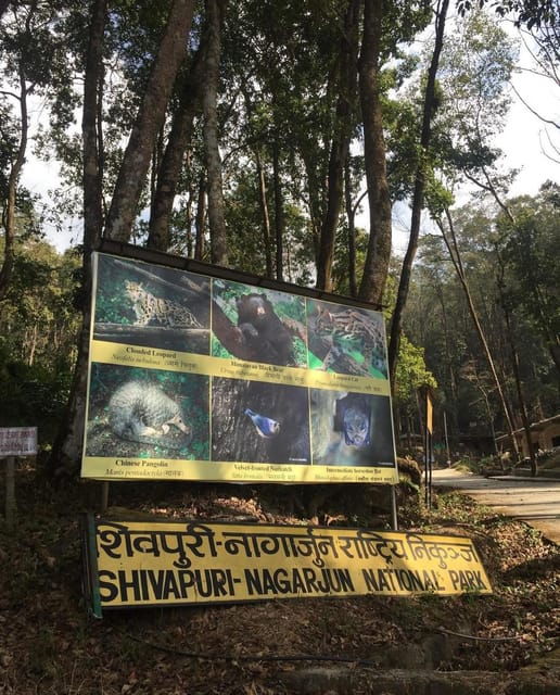Kathmandu: Jamacho( Nagarjung Danda) Day Hike - Overview of the Hike