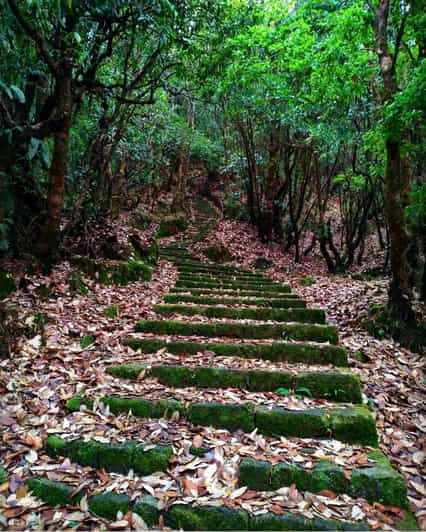 Kathmandu: Scenic Shivapuri National Park Hiking - Itinerary Details