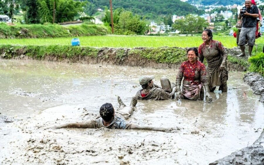 Kathmandu: the Mud and the Miracle,Paddy Plantation Festival