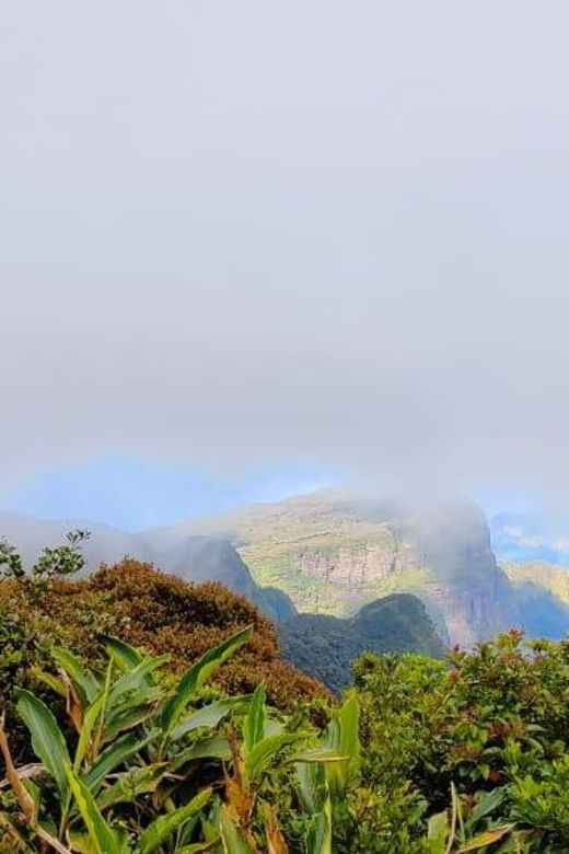 Knuckles Mountain Range Trekking - Overview of Trekking Experience