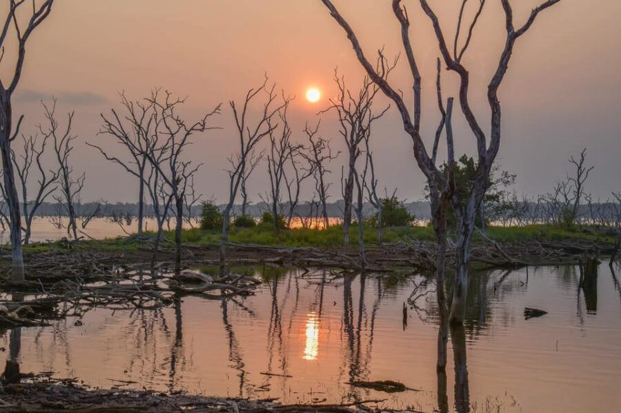 Kumana National Park: Morning Afternoon Leopard Safari (6h)