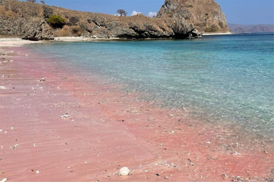 Labuan Bajo: Dragons Day Trip & Island Hopping With All Fee - Tour Overview and Pricing