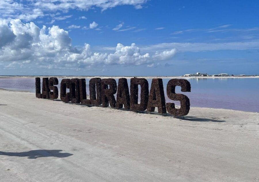 Las Coloradas: Guided Visit, Río Lagartos Boat Tour & Lunch - Tour Overview and Pricing
