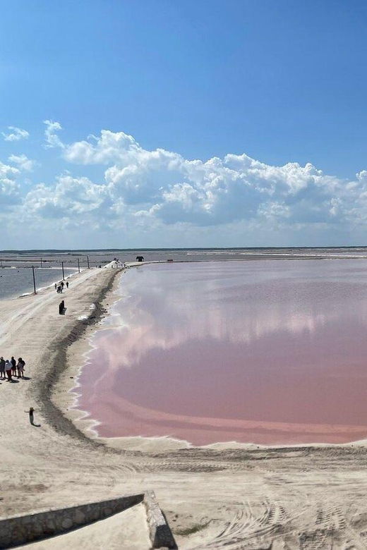 Las Coloradas: Pink Lake Guided Tour and Rio Lagartos Visit - Tour Overview and Pricing