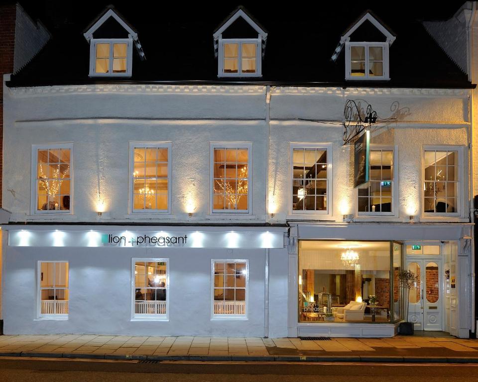 Lion & Pheasant Hotel - Location and History