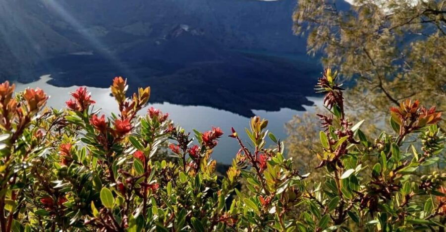 Lombok: Mount Rinjani 3D/2N Hiking Full Experience