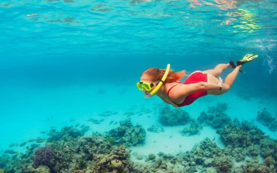 LOS CABOS ARCH & LOVERS BEACH TOUR + SNORKELING TOUR - Tour Overview