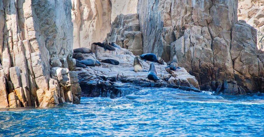 Los Cabos: Tour of Rock Formations and Snorkeling - Tour Overview