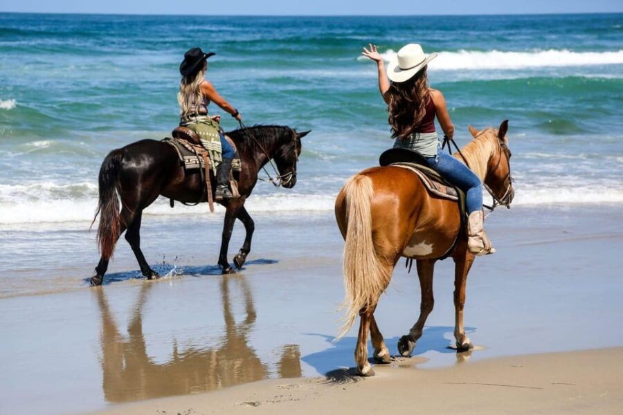 Los Cabos: Tranquil Horse Riding Experience - Activity Overview