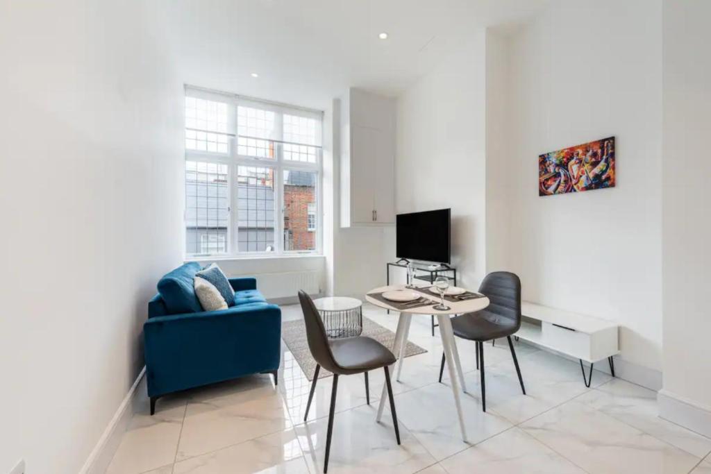 Luxury Harley Street Apartments - Property Overview