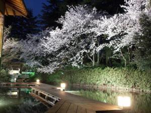 Matsusaki - Accommodation Options