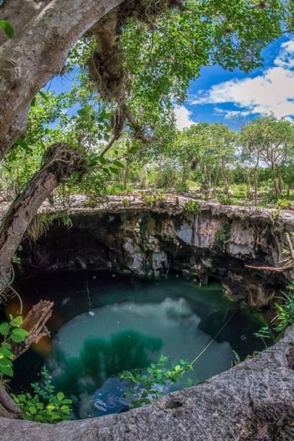 Merida: 4 Cenotes Adventure and Mexican Meal Included